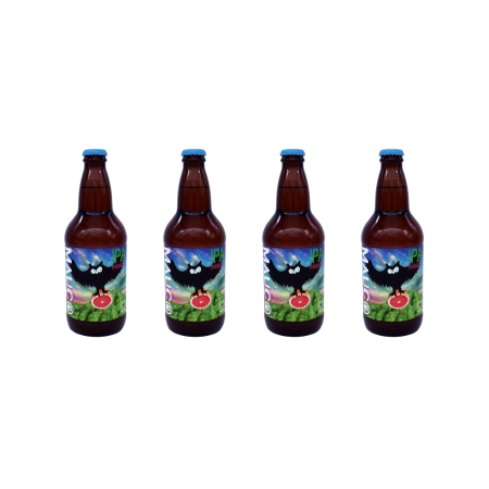 4 Pack IPA Paradisi